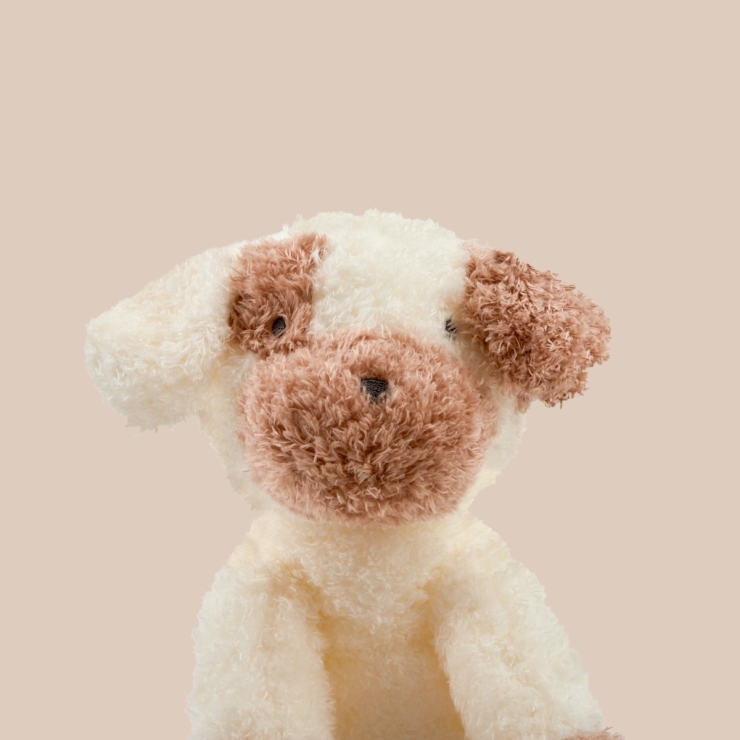 Personalised Puppy Plush Toy