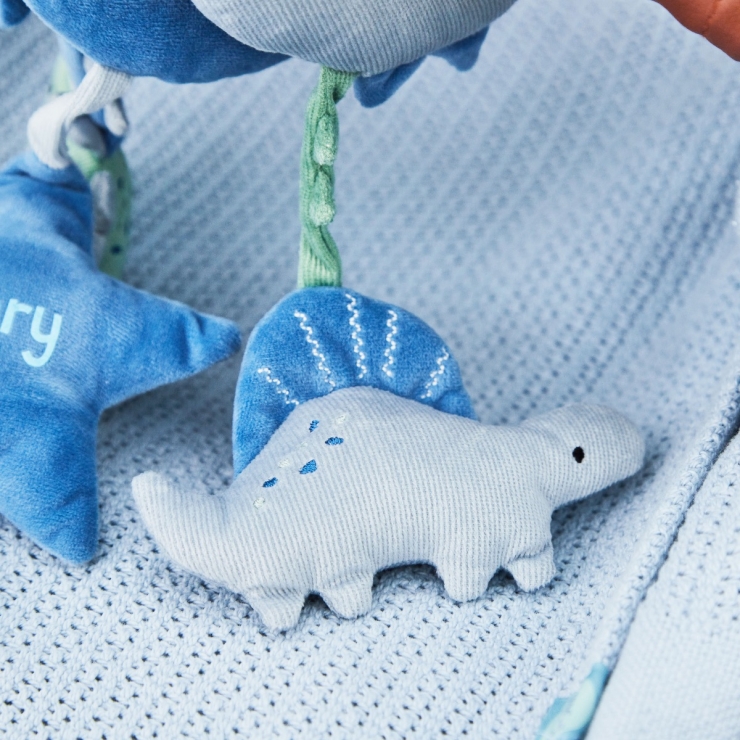 Personalized Dinosaur Spiral Toy