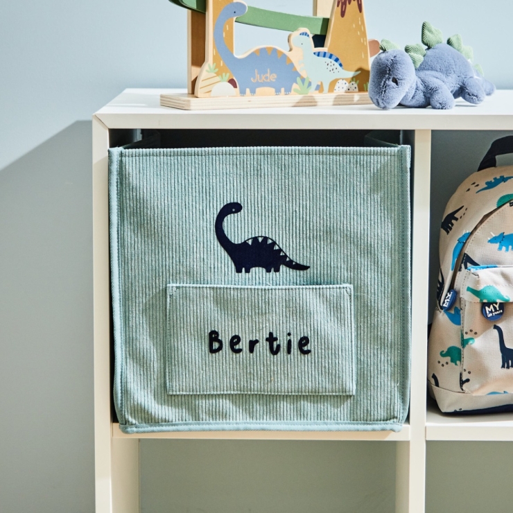 Personalised Dinosaur Sage Storage Cube