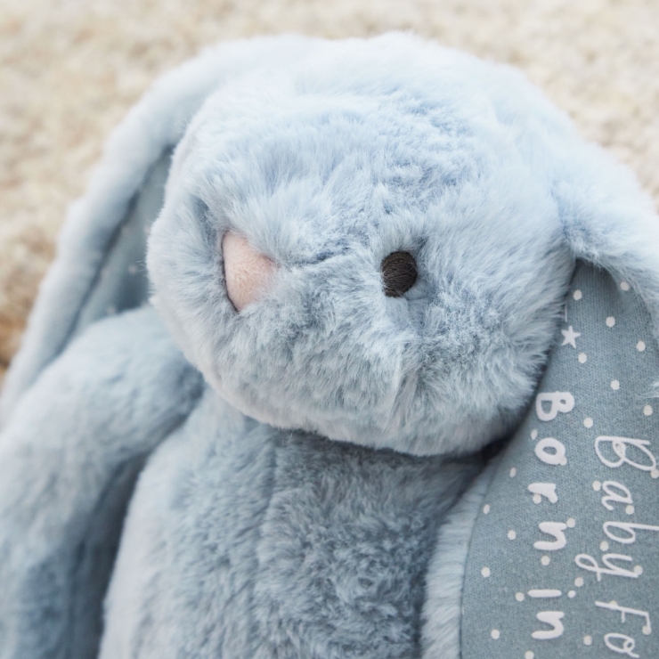 Personalized Born In 2026 Blue Bunny Soft Toy
