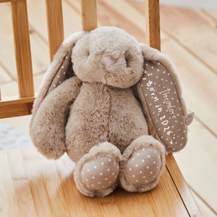 Personalized Oatmeal Born In 2026 Bunny