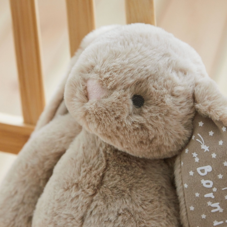Personalized Oatmeal Born In 2026 Bunny